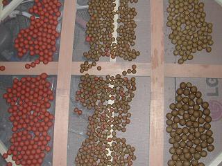 boilies secandose